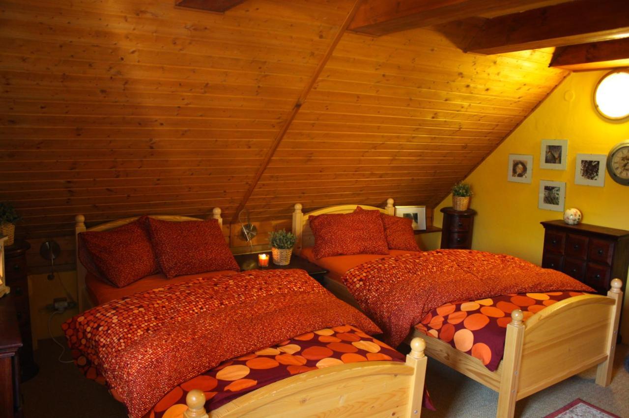 Apartmany U Kaplicky Kamyk nad Vltavou 外观 照片