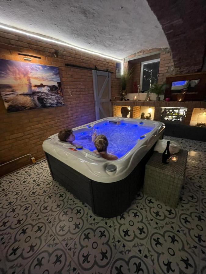 Apartmany U Kaplicky Kamyk nad Vltavou 外观 照片