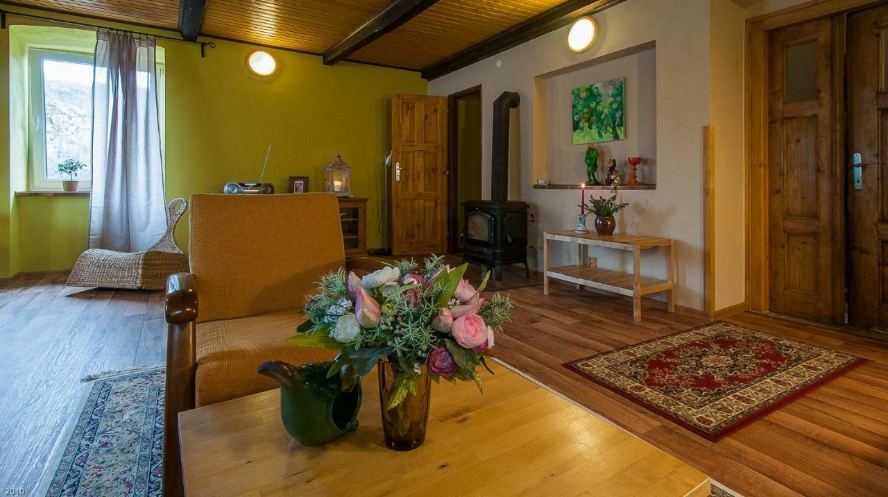 Apartmany U Kaplicky Kamyk nad Vltavou 外观 照片